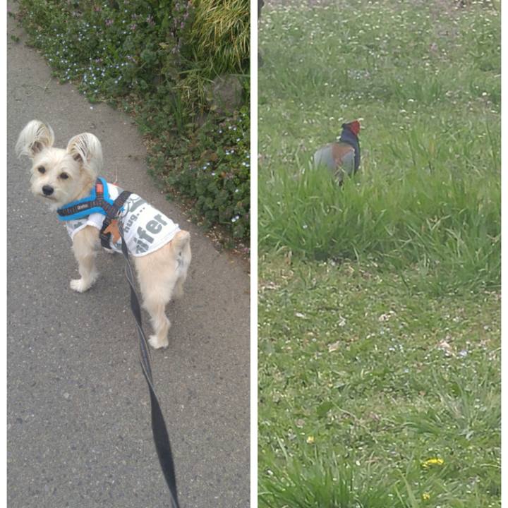 D132255b d625 4b3b 89d1 6bed5bfb2f76