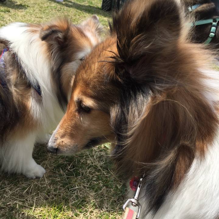 D1323e20 7525 4dfe b168 b8c1ea5d6960