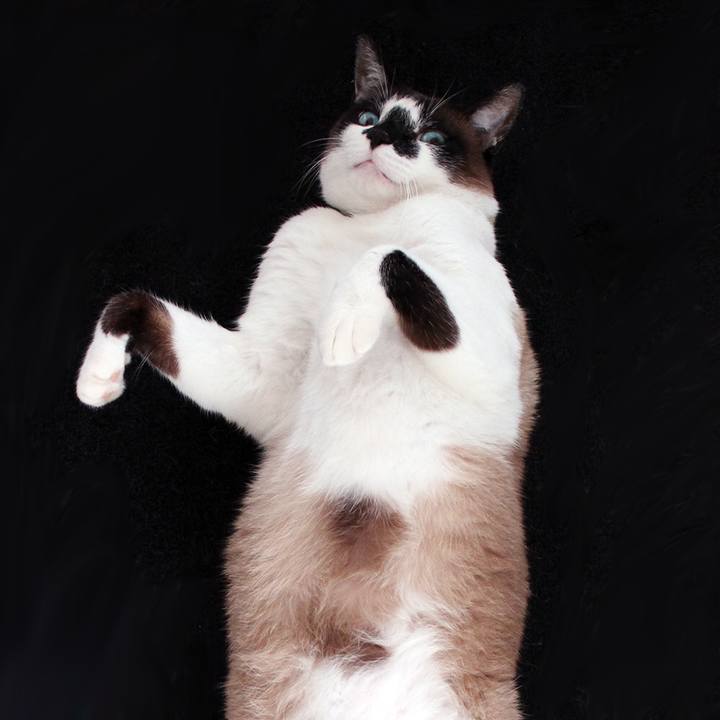 D1326fda 2ec0 49bd b188 dfe0d90c0239