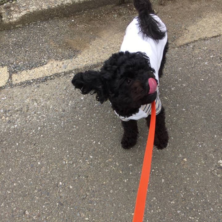 D132bde2 d202 44c0 8eb8 40ce50ca5983