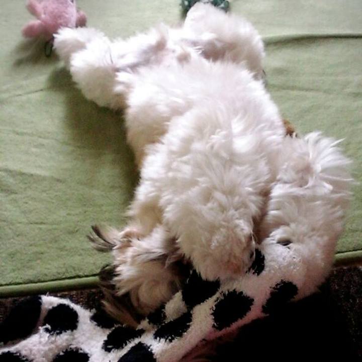 D1340e29 37ce 415b 94ae ee787dea6585