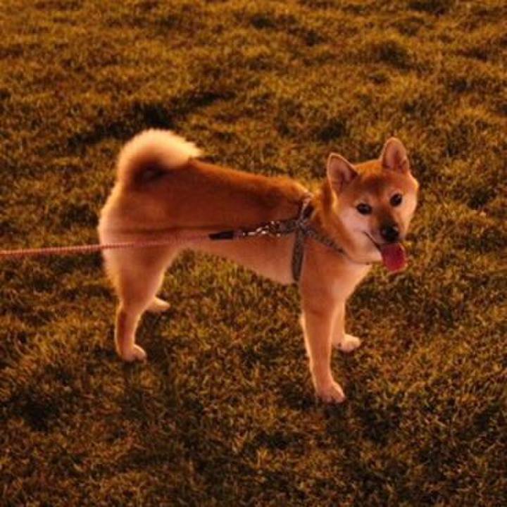 D134754d 3a1b 4e07 b117 e94f612aa5fa