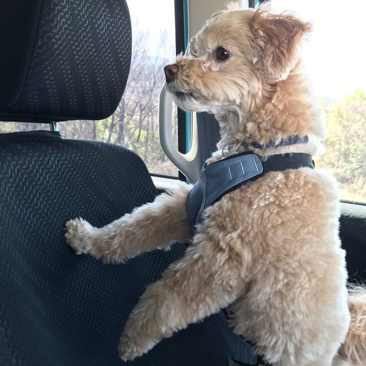 D1351c50 903d 4b24 b211 485b57eafc78