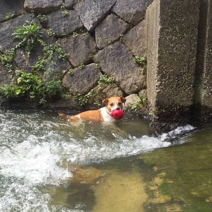 D135262f 40df 452a a8e3 2def5bcd1f01