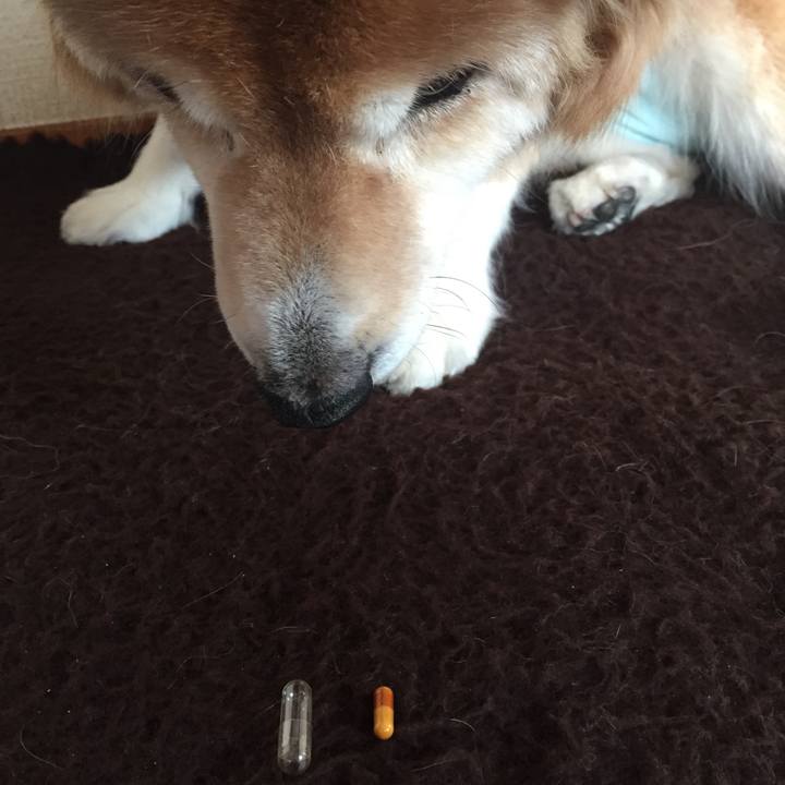 D1360930 0c70 40c5 91f6 480620db1070