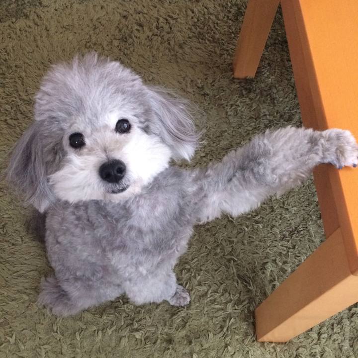 D136edb1 d216 445d b6ed f1e9a67259f0