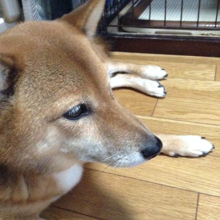 D1374997 60af 4bd7 bea3 3a5185889679