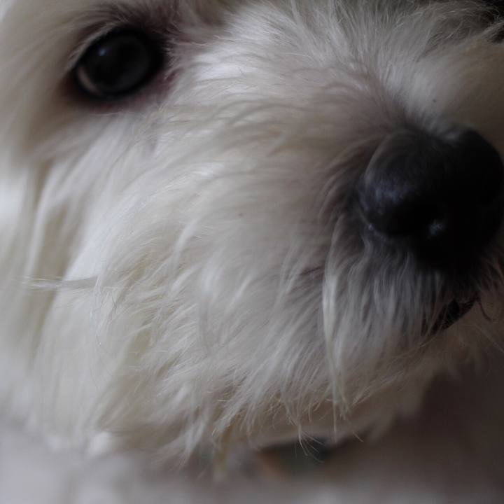 D137bcc7 c106 469e 9fab 5d6ba2c7c35b