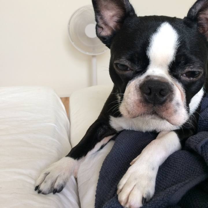 D137ddc4 bdf8 4f95 b36a af198bfed9eb