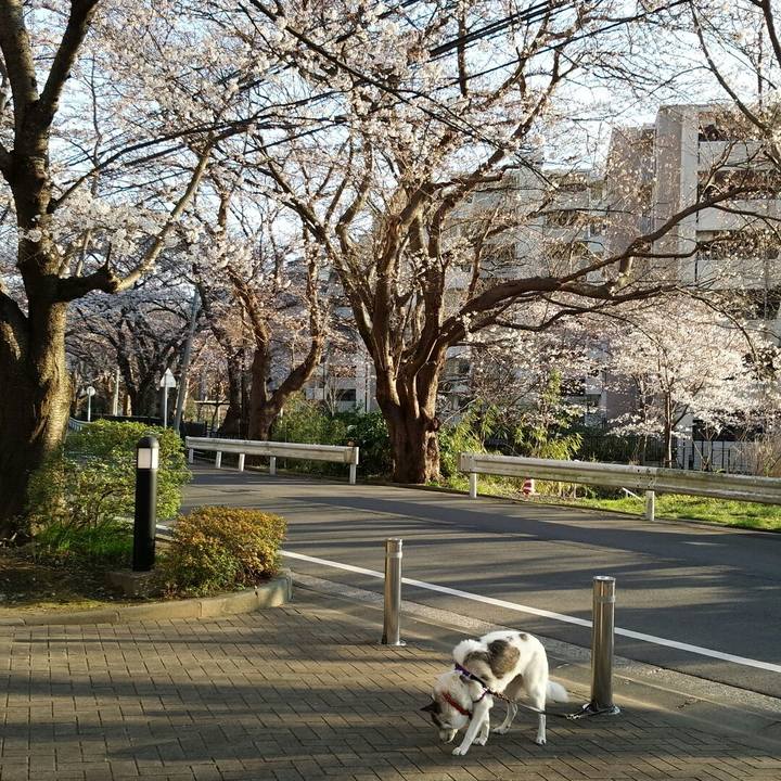 D137ee35 4105 424e 9c5b d412a3c3204b