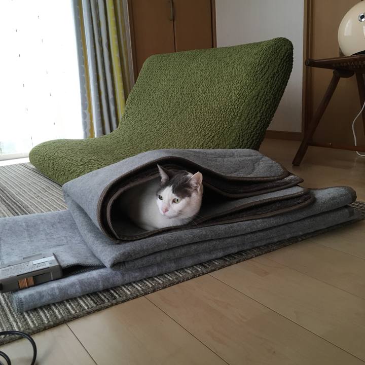 D137efc1 31cd 4e21 81d9 cb94f182e18d