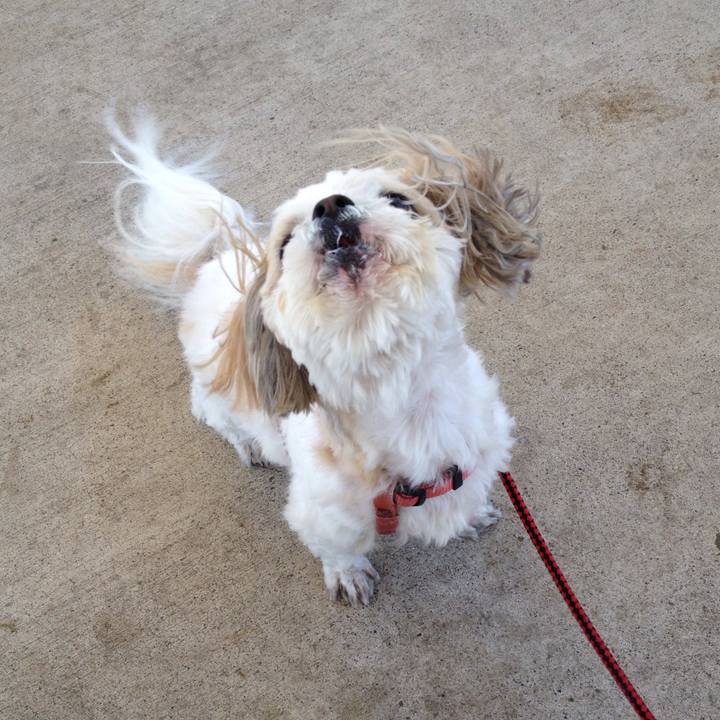 D138f71c 30d3 4334 898b b1b1b640cde8