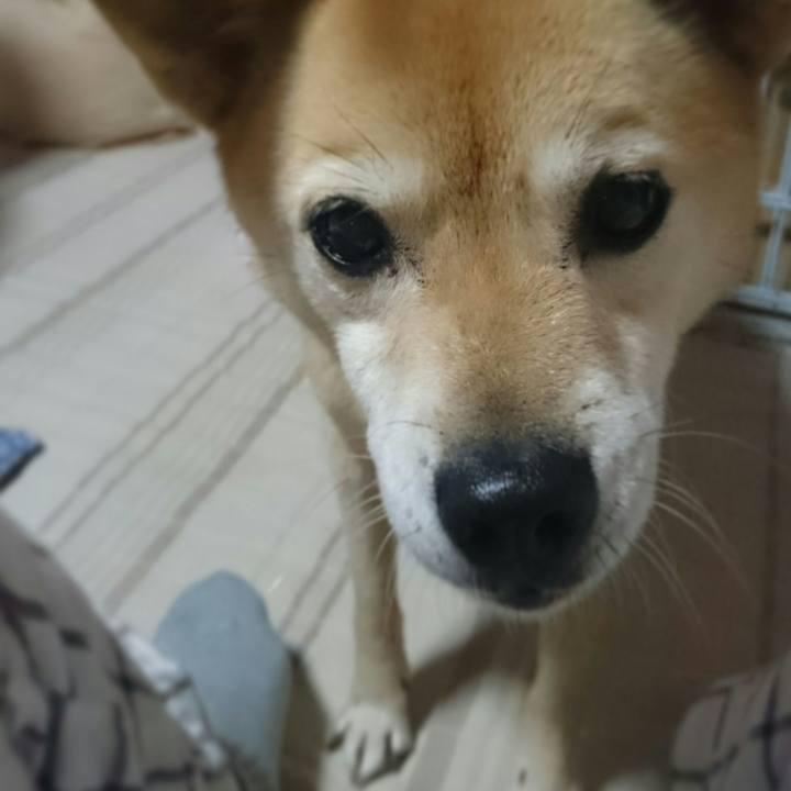 D1390794 8ba4 4a45 8a5d 6c08cb018b62