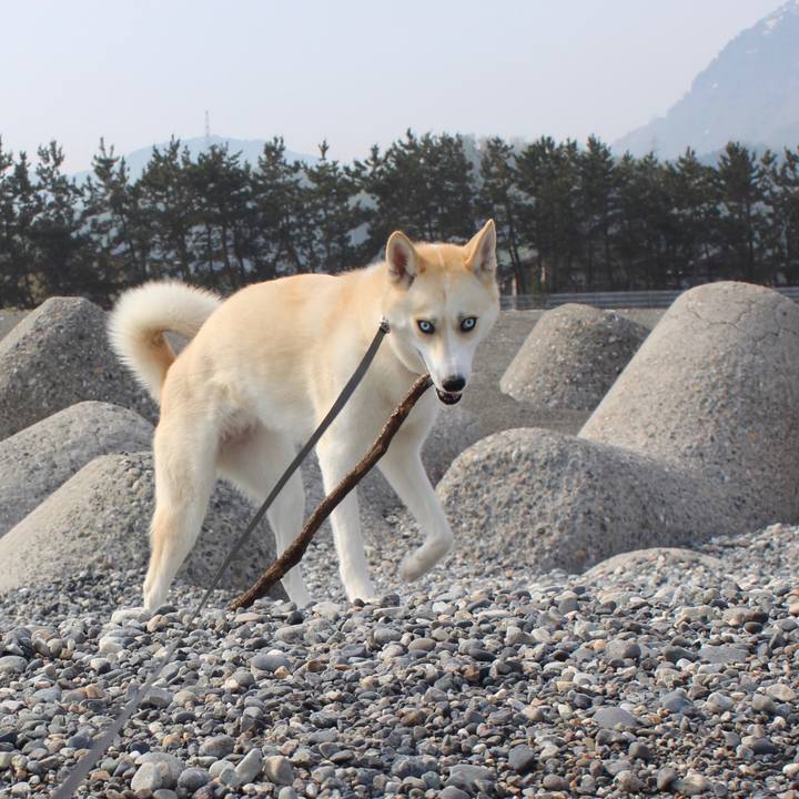 D13974ca 5966 442a bfe5 208ef623ad4a