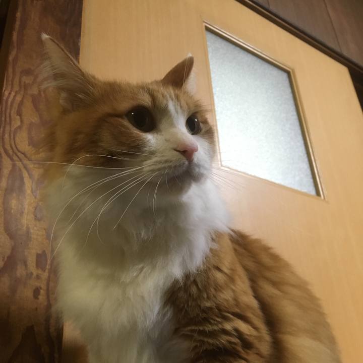 D13a218e 8093 4d9b 8a41 19223089e1bb