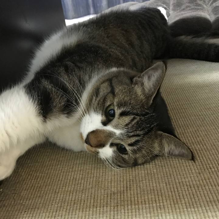 D13a2ada de70 4642 9dea 95fe228d2777