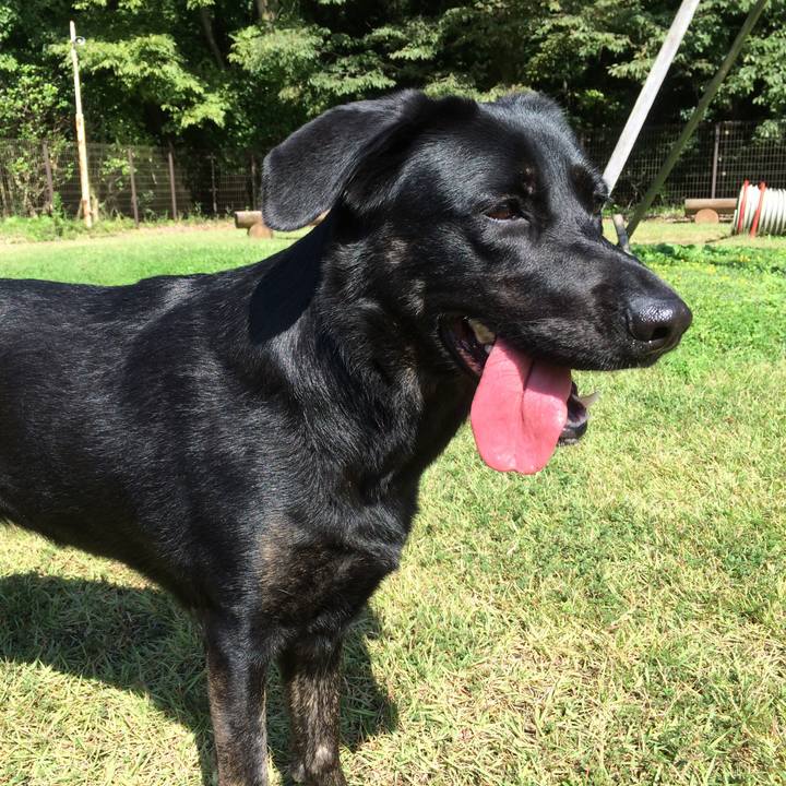 D13a6801 9857 4d59 8583 c1e137419d6a