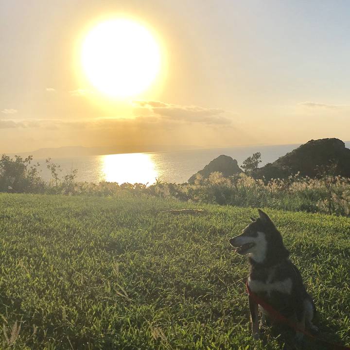 D13ba9a9 998d 4817 9421 4d3aee144004