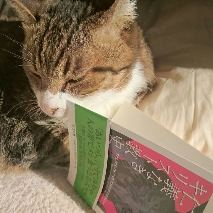 D13bcf50 bd30 4a2c 9c06 0ada2472d1ae