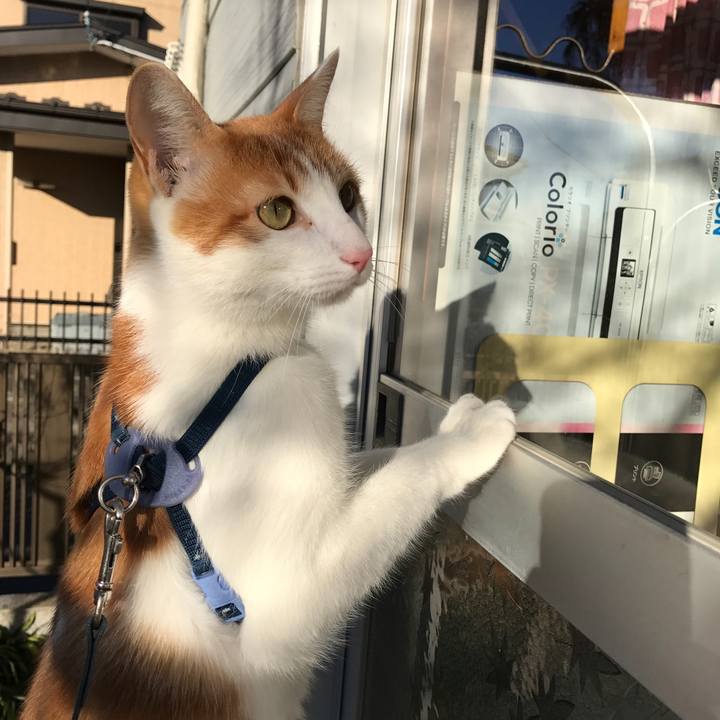 D13d0d07 4c80 4549 9a1c 8b1591d0de50