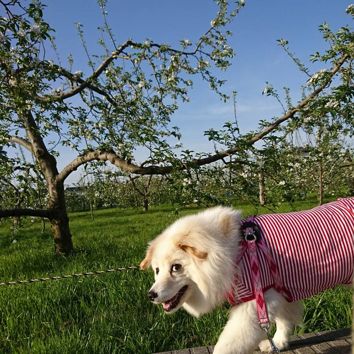 D13d33dc 66ad 467e ae89 ff61ace57bd7