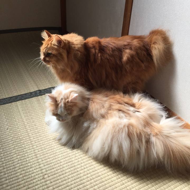 D13d8499 447d 4713 aad5 9ac4b06776d6