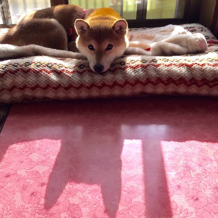 D13d940a 88a9 41d4 ab8b 3d22c1bfa508