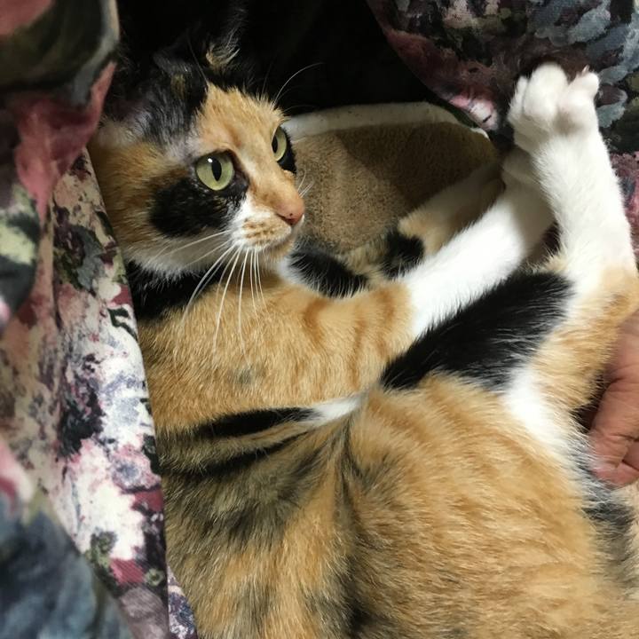 D13d96b1 ca51 4a30 b8c2 9e9878dc3116