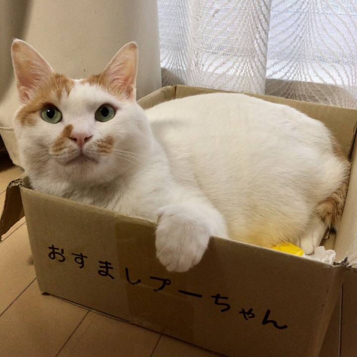 D13e0b59 0b6f 4326 baee 8c39127f7197