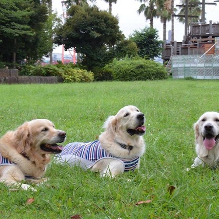 D13e27fa 69a5 4d3d 8dc4 b3f052ab2df0