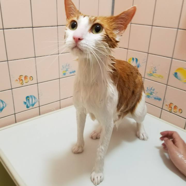 D13ed70d 5ff5 46c2 9443 5203081eaf43