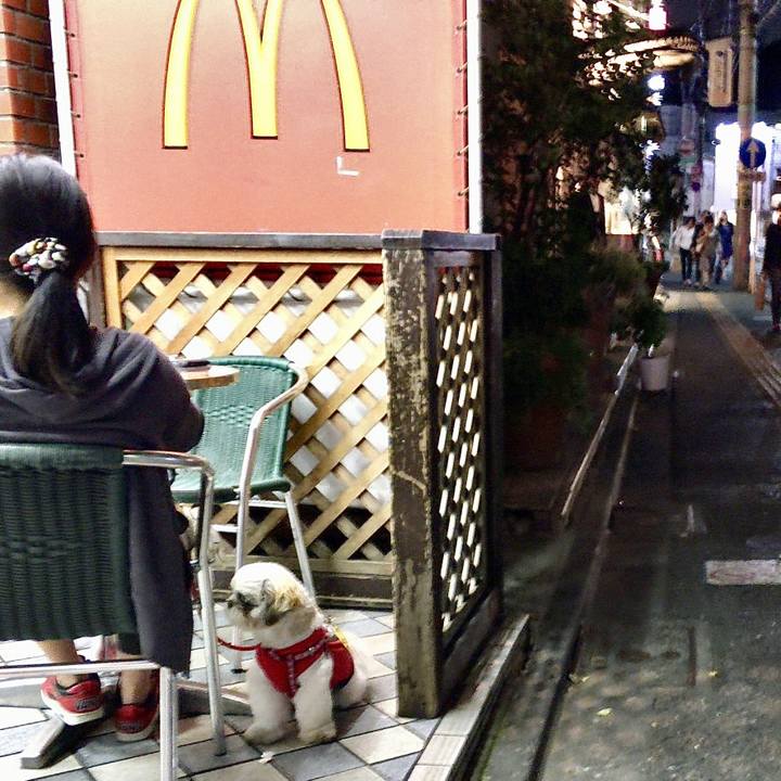 D13ede09 3289 464f ac73 29d31865e5e3