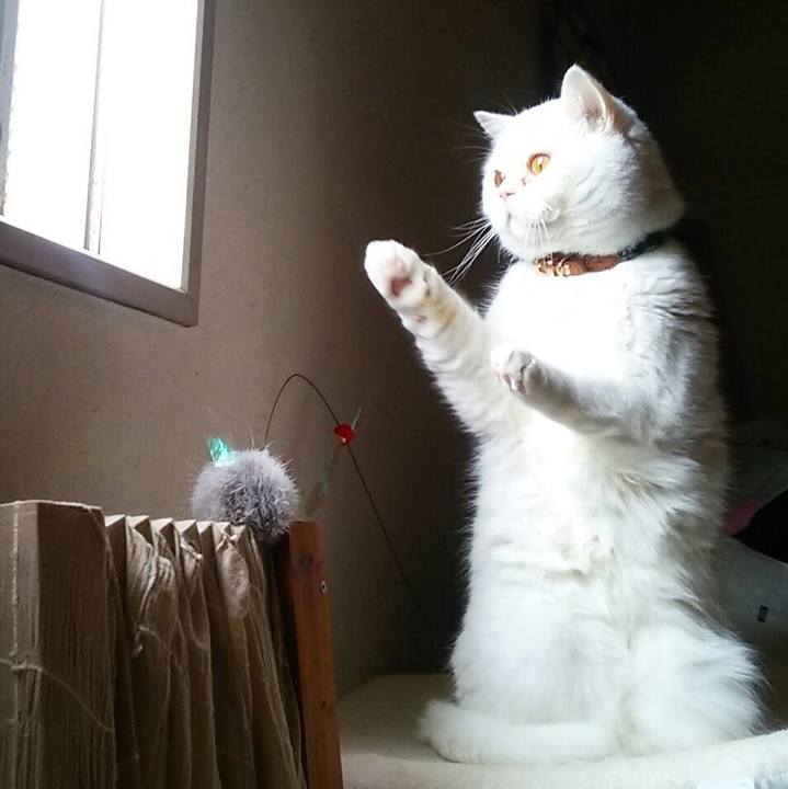 D13f5724 fe29 49fd 9e0a 88fd557ebb6f