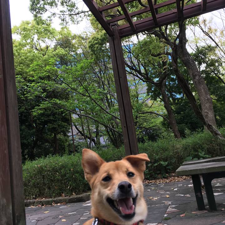 D13f5be6 3510 4bab 8586 519d9ca843b1