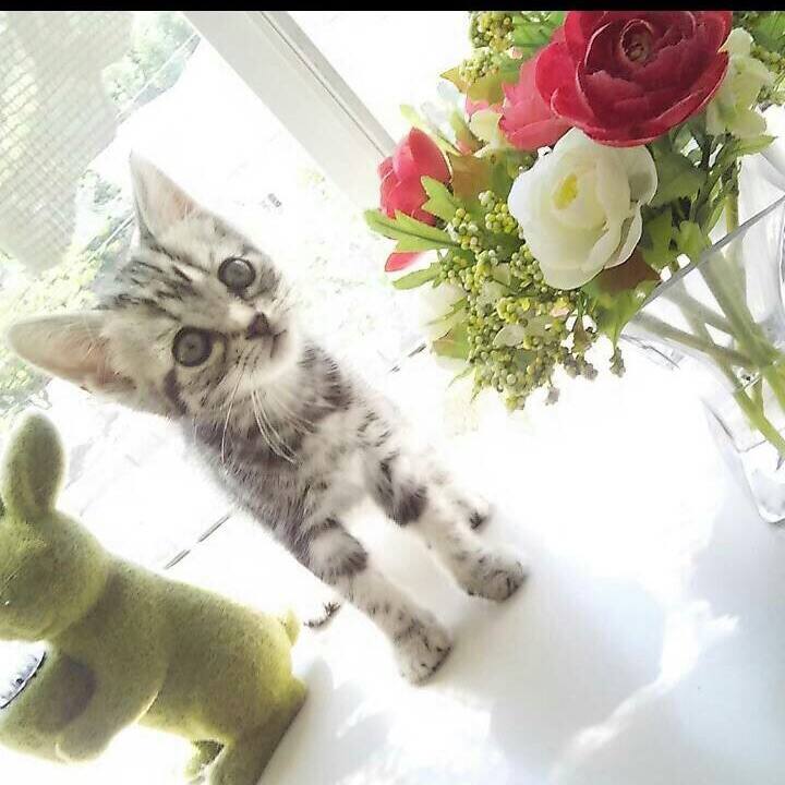 D13f99f0 30ed 4b2f a3dc 2e3a149db4b4