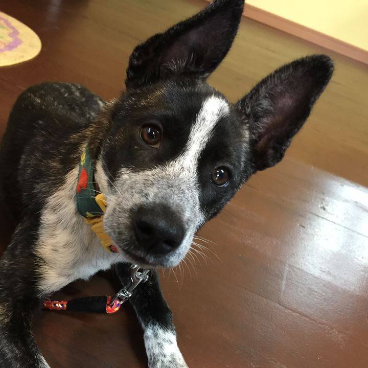 D13f9d50 f745 4962 ab66 1d43fb935f48