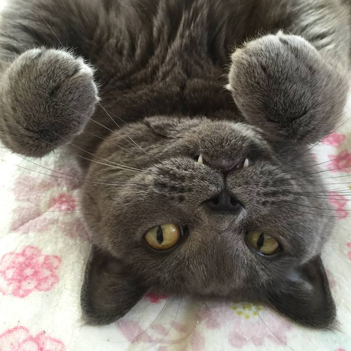 D14043e6 bef7 4cc1 be9d 31d70b84129d