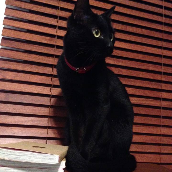 D14059ef e9fa 4a66 a99a e3ff5d7f9bf7