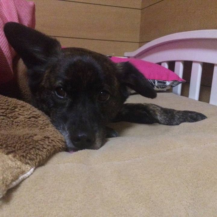 D1407a44 09ea 48a6 956b ba1c63654920