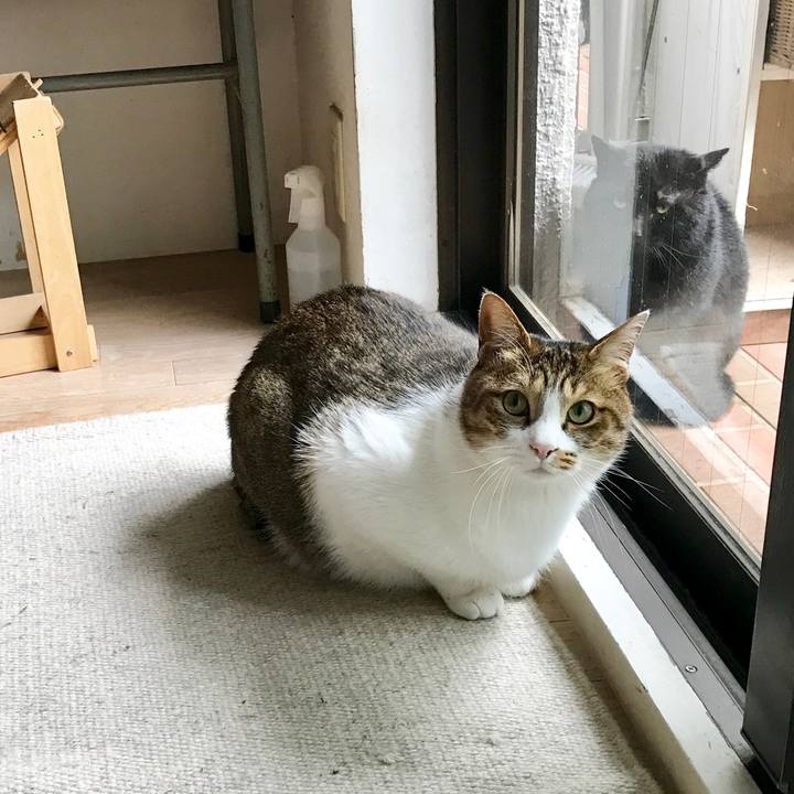 D140cb07 eb5c 4b82 a2dd f1aa1f3137cb