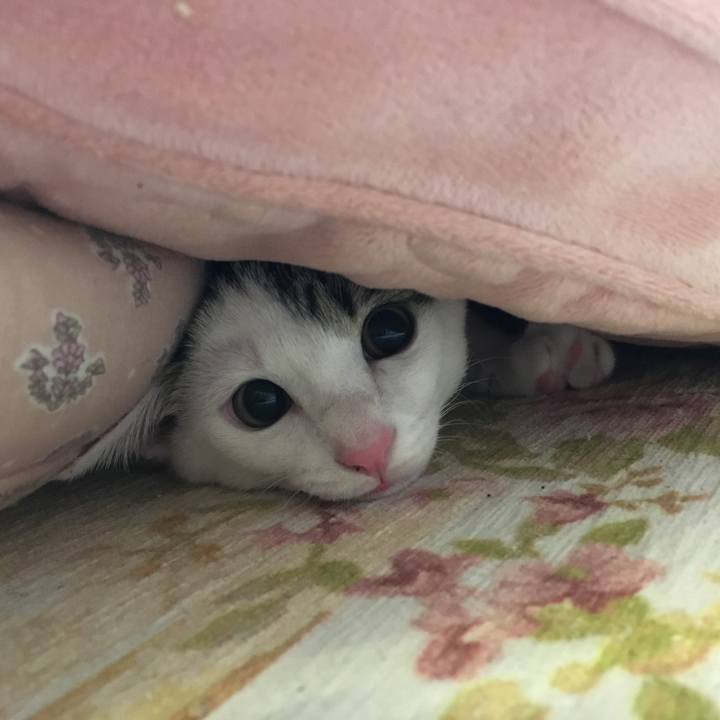 D141f4e2 6576 4699 824f 6b26dc5943ae