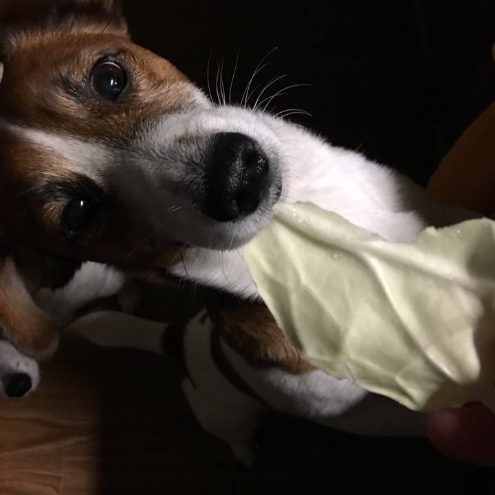 D142ffc9 3f53 4ab8 947d 12a39f3cfd32