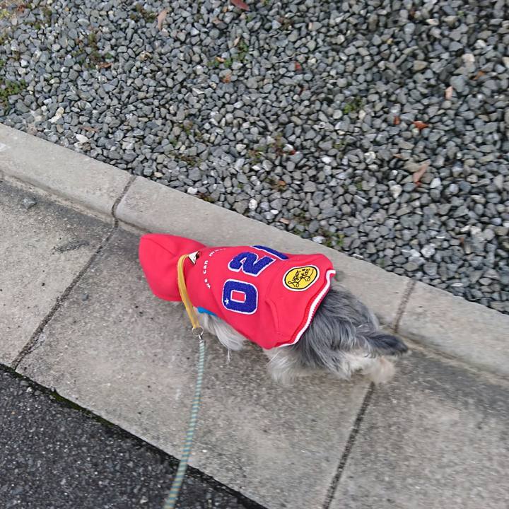 D1430d4a 0a6c 4c6e b60a 3e1425738a77