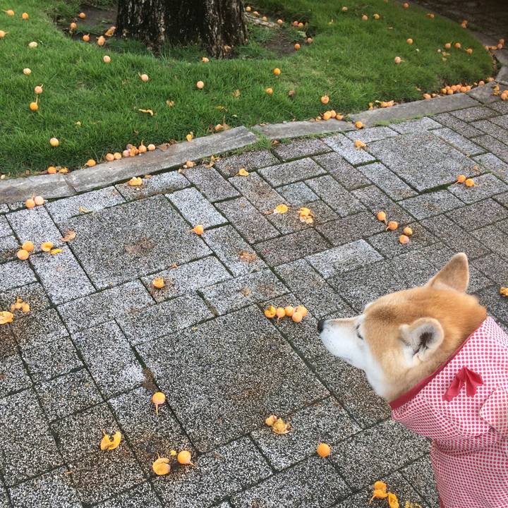 D143c949 eb23 4271 998f 7c735994ff92