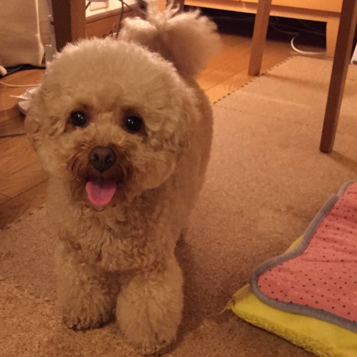 D1442919 c39c 4c73 8e18 6dfb7234a412