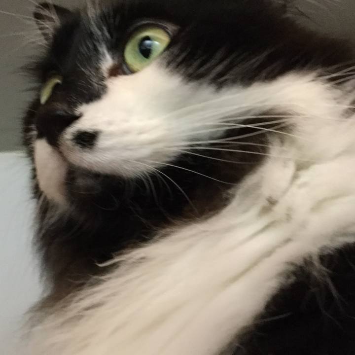 D1445224 d531 49aa ad3c db640a2cf992