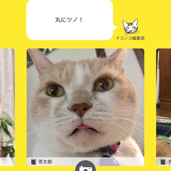 D1448577 6606 451c 9c7b d2235d03d2ee