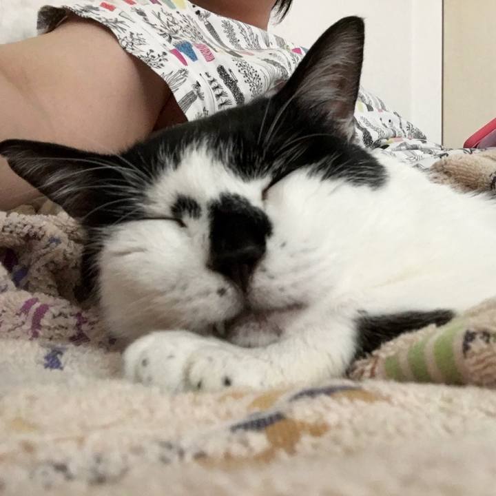 D144f582 536f 43a9 9586 c91a33a1c978