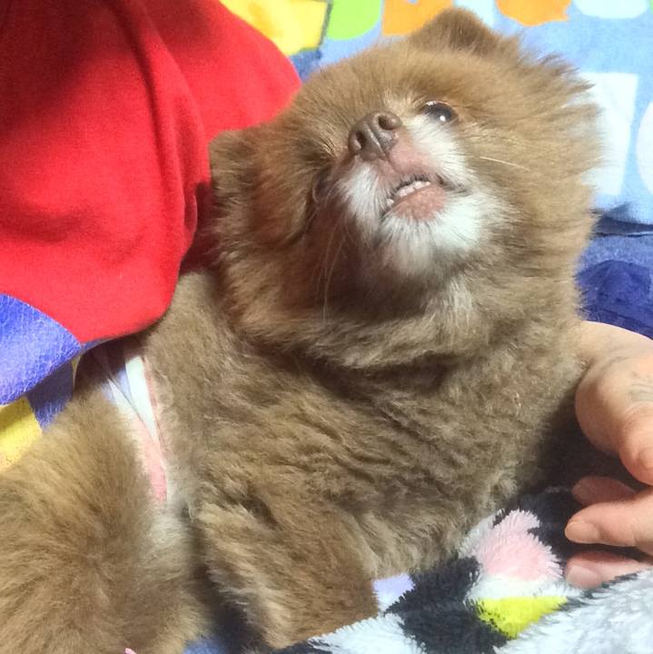 D145978e 47a1 48d4 aa12 7b1b48d72bf8