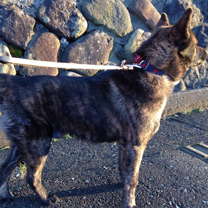 D146320c 5dfb 46c4 b020 f02217c41e00